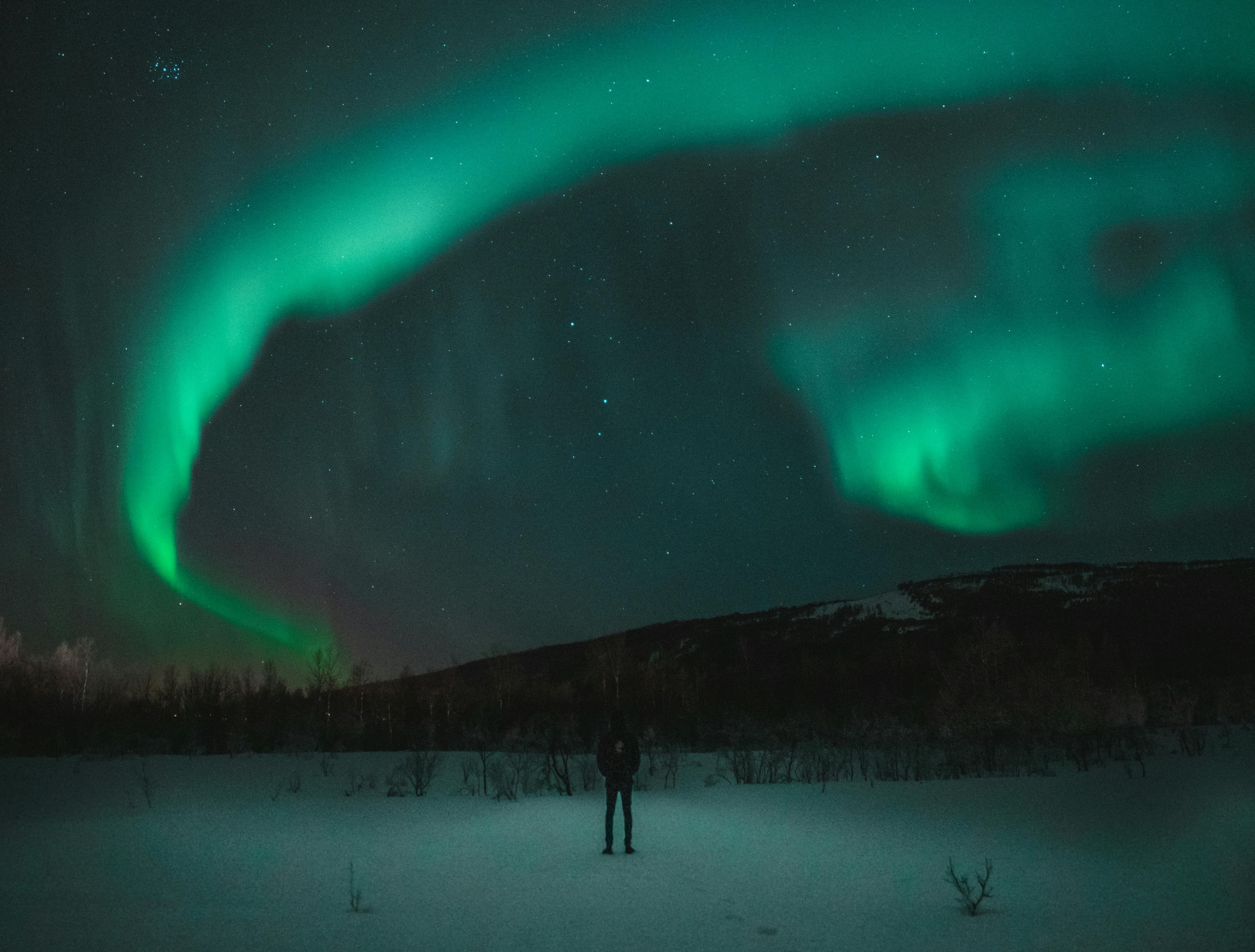 Northern lights
